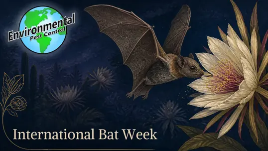 drawing of a bat with pollen on its face as it feeds on nectar in a flower