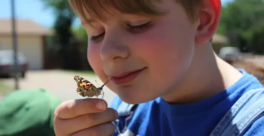Our son, Jace, enjoying a painted lady butterfly he nurtured as it developed and released into the wide world